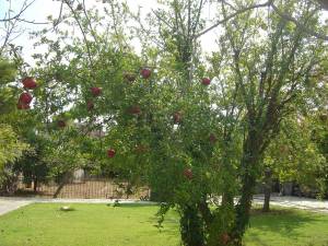 Castle By The Sea144
